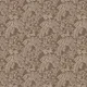 Taupe I