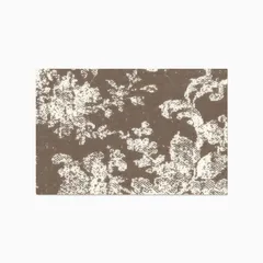 Taupe I