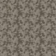 Olive I
