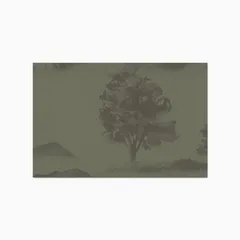 Olive Night II