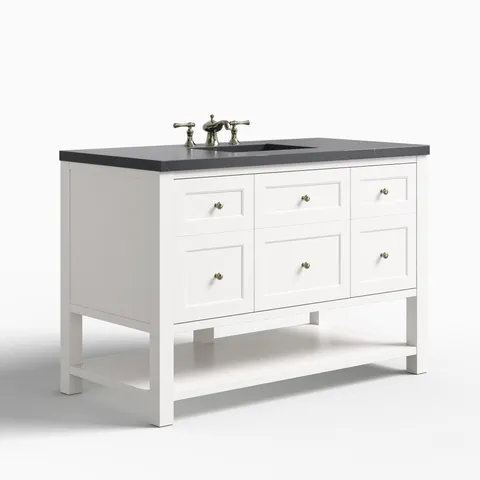 Bridgette 48" Single Vanity in Bright White with 3 cm Charcoal Soapstone Quartz Top