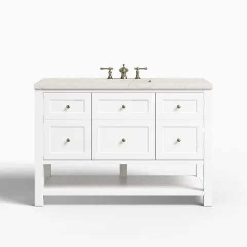 Bridgette 48" Single Vanity in Bright White with 3 cm Victorian Silver Quartz Top