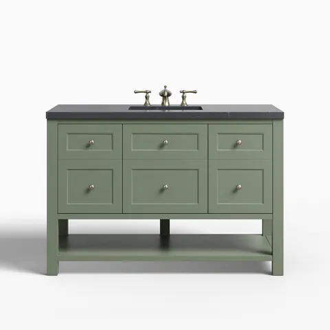 Bridgette 48" Single Vanity in Smokey Celadon with 3 cm Charcoal Soapstone Quartz Top