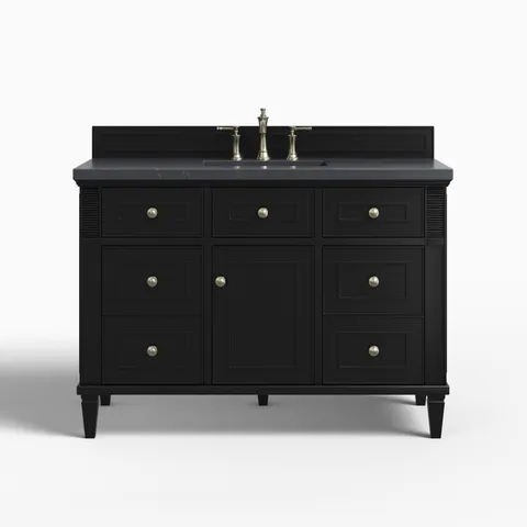 Elodie 48" Single Vanity in Black Onyx with 3 cm Charcoal Soapstone Quartz Top