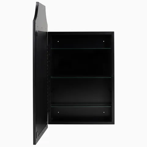 Alvoro Medicine Cabinet in Black