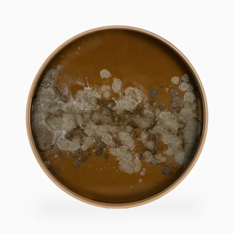 em_290164_phoebe_round_glass_tr_me_br_0000.jpg