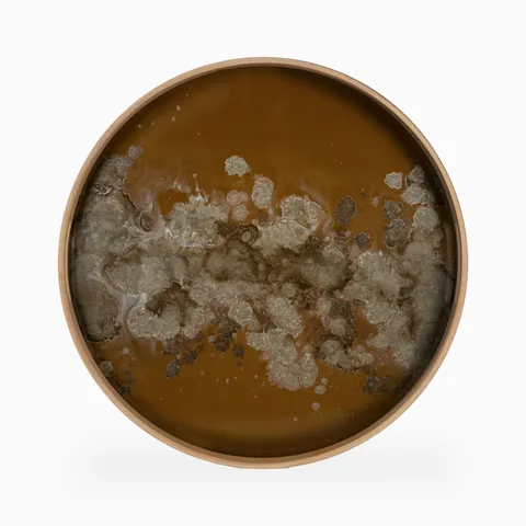 Phoebe Round Glass Tray in Metallic Bronze