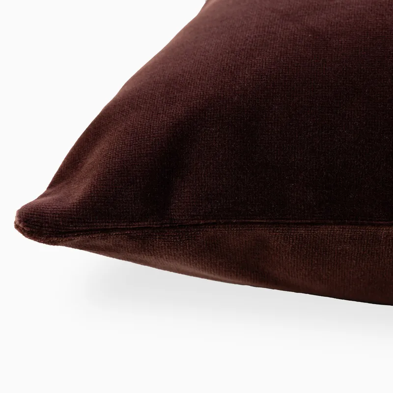 em_290175_lucille_20x20_pillow_co_in_su_pl_0001.jpg