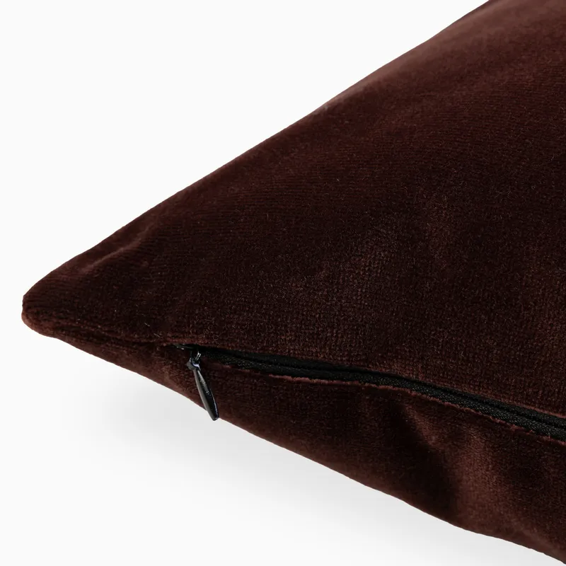 em_290175_lucille_20x20_pillow_co_in_su_pl_0003.jpg