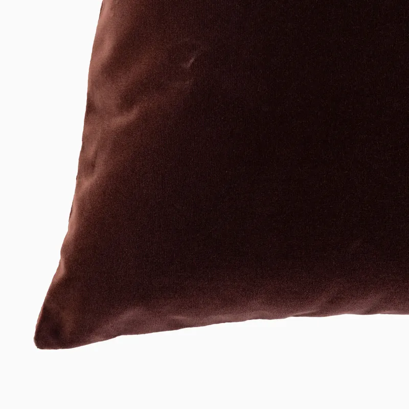 em_290184_lucille_20x20_pillow_co_su_pl_0002.jpg