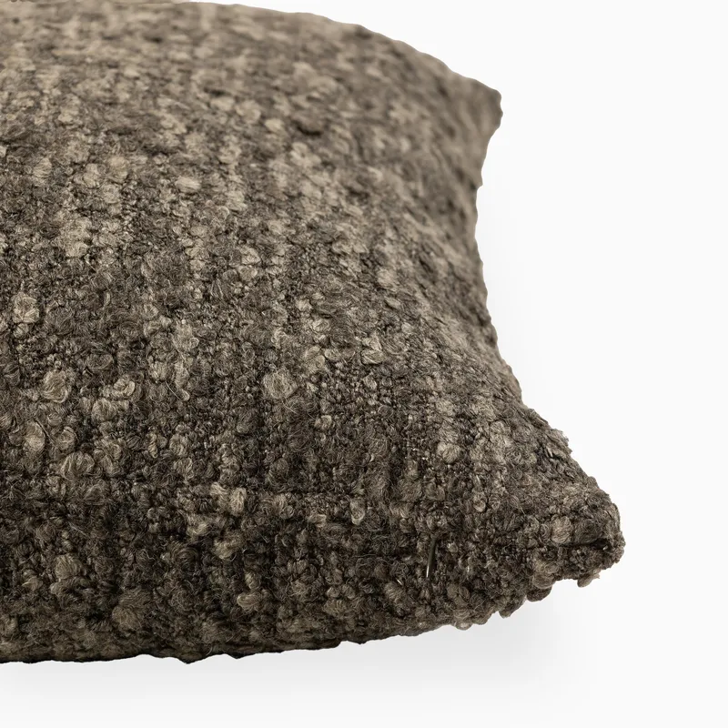 em_290194_claudia_20x20_pillow_co_in_so_mo_0003.jpg