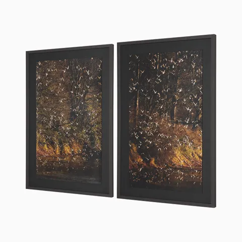 Adorned Textured Framed Photo Print, Set of 2