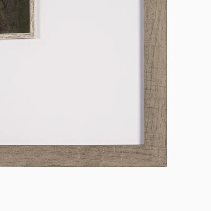 em_290426_thicket_te_fr_ar_0002.jpg