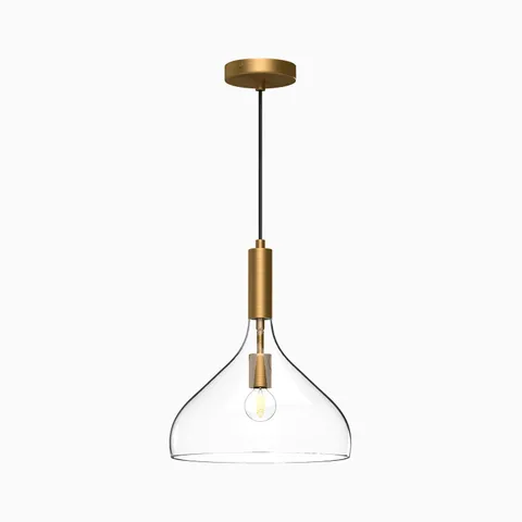 Clear glass dome pendant light with warm brass stem and exposed filament bulb in a refined modern design.