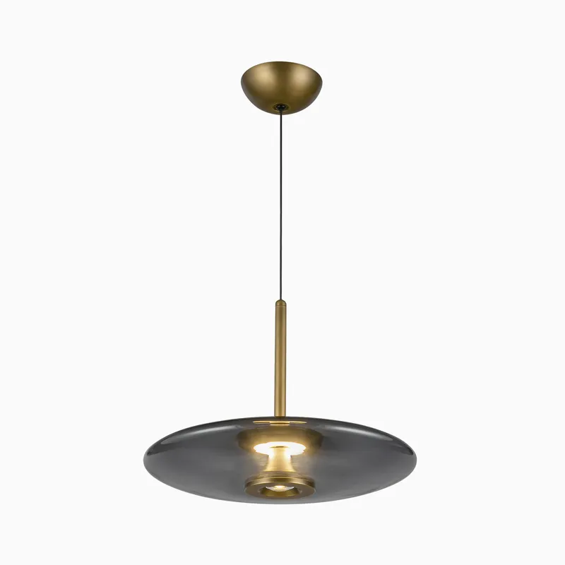 edwardmartin-300115-adler-pendant-vintage-brass-smoked-glass-17-0001.jpg