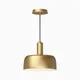Brushed Gold