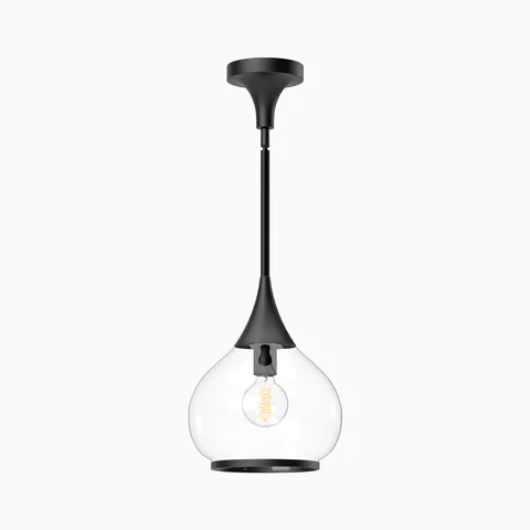 Matte black pendant light with slender stem and clear glass globe shade.